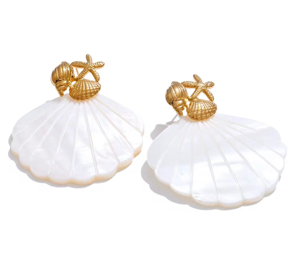 SHELL EARRINGS