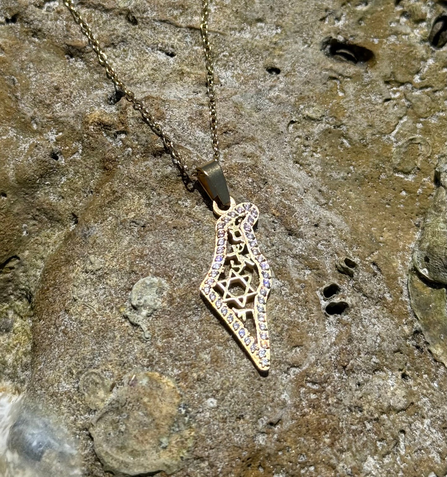 AM ISRAEL CHAI MAP NECKLACE