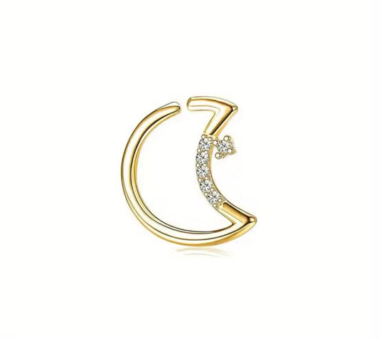 PIERCING HOOP EARRINGS