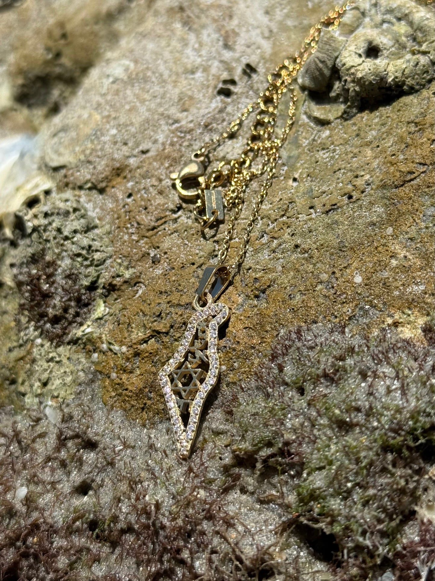 AM ISRAEL CHAI MAP NECKLACE