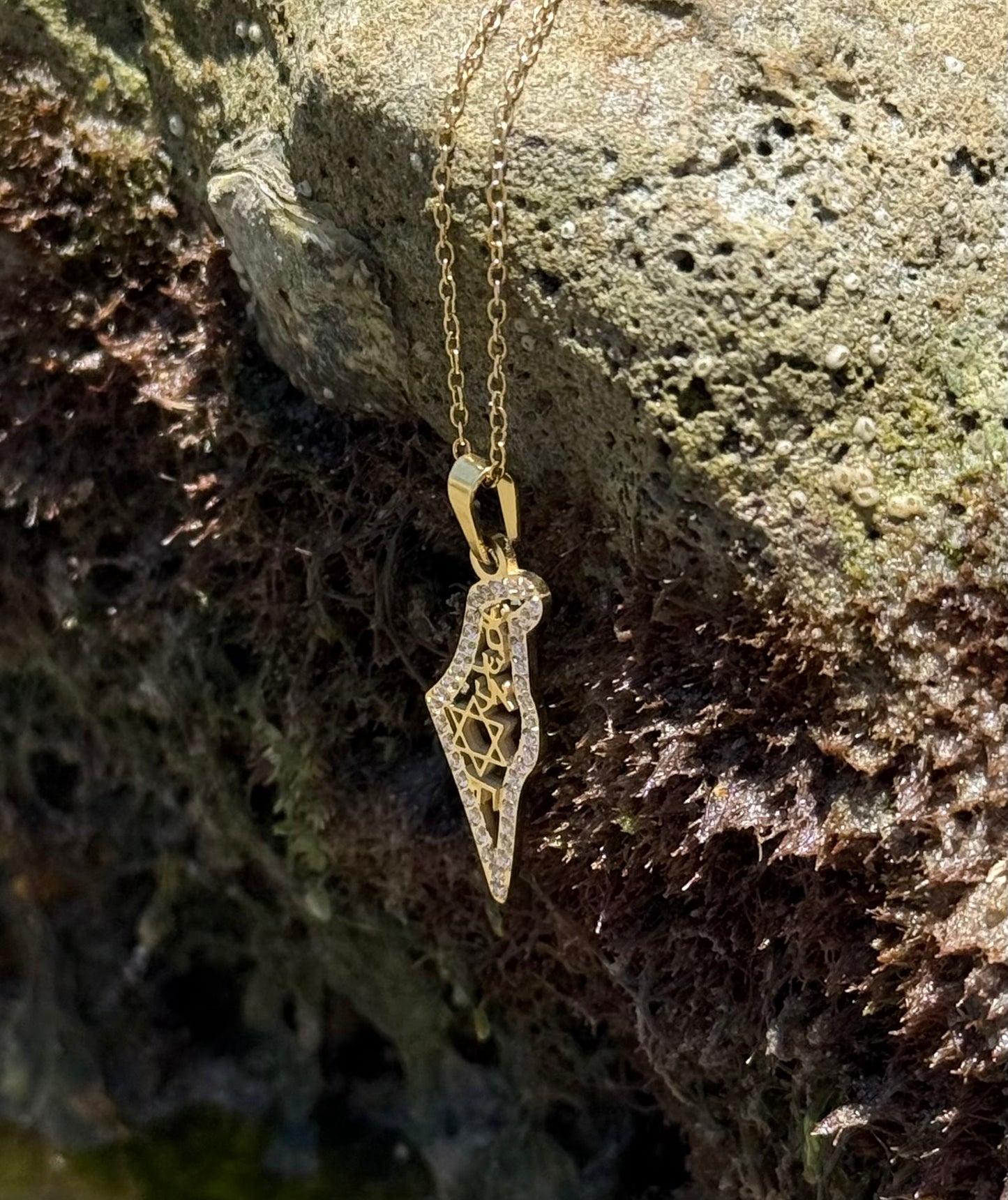 AM ISRAEL CHAI MAP NECKLACE