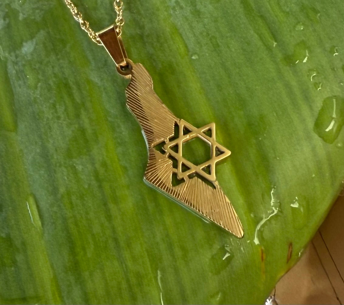 MAP OF STAR DAVID NECKLACE