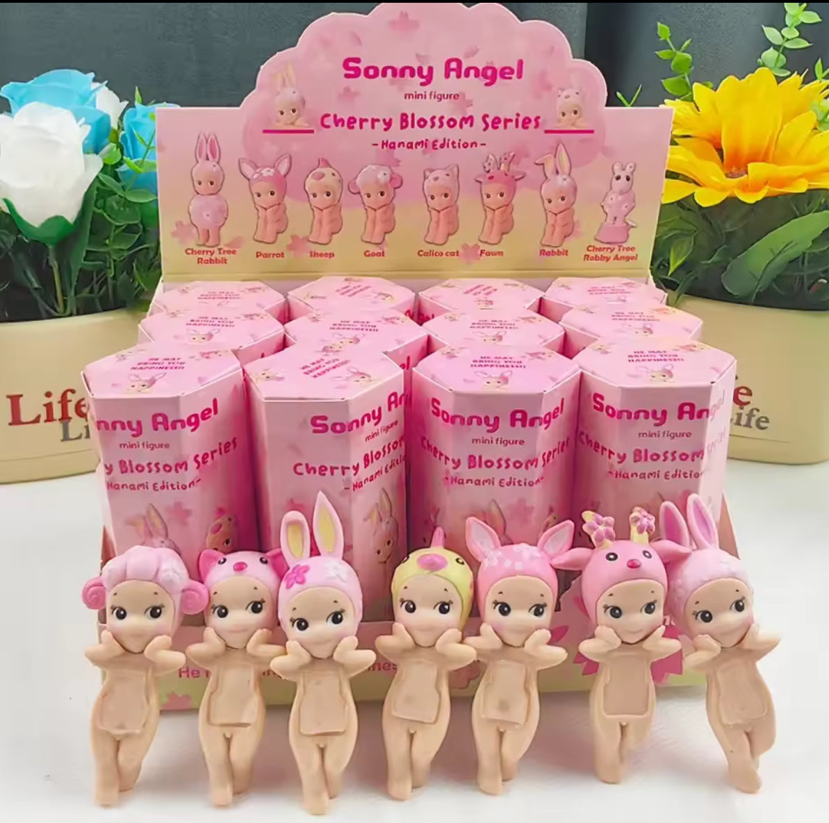 CHERRY BLOSSOM SONNY SERIES