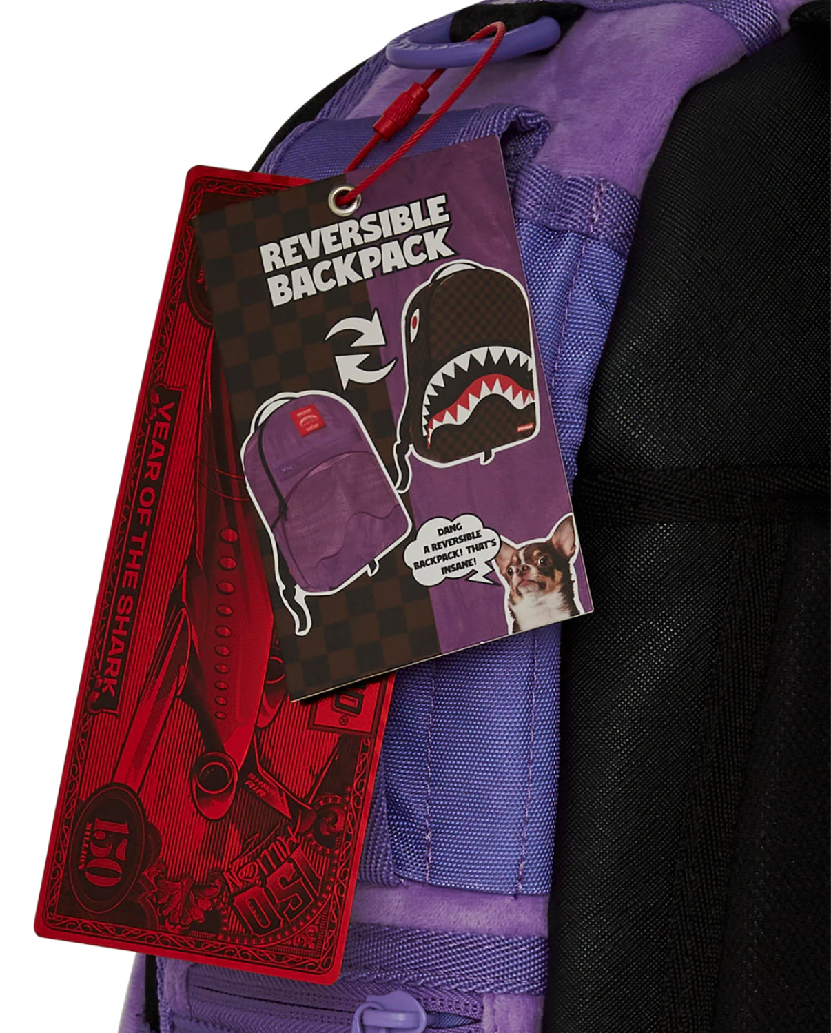 INVERTED SHARK POCKET DLXS BACKPACK