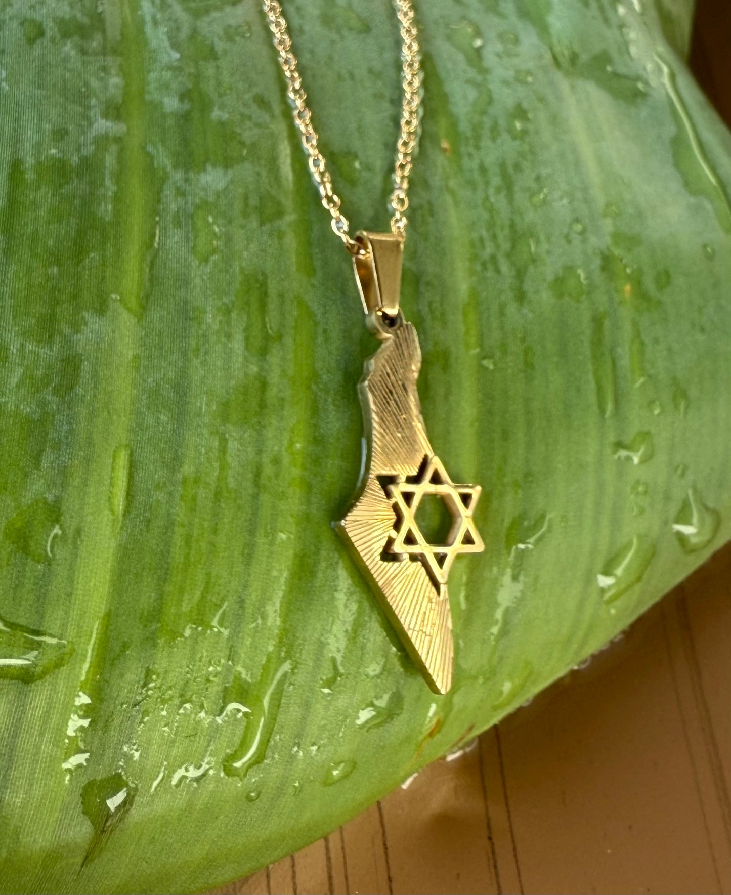 MAP OF STAR DAVID NECKLACE