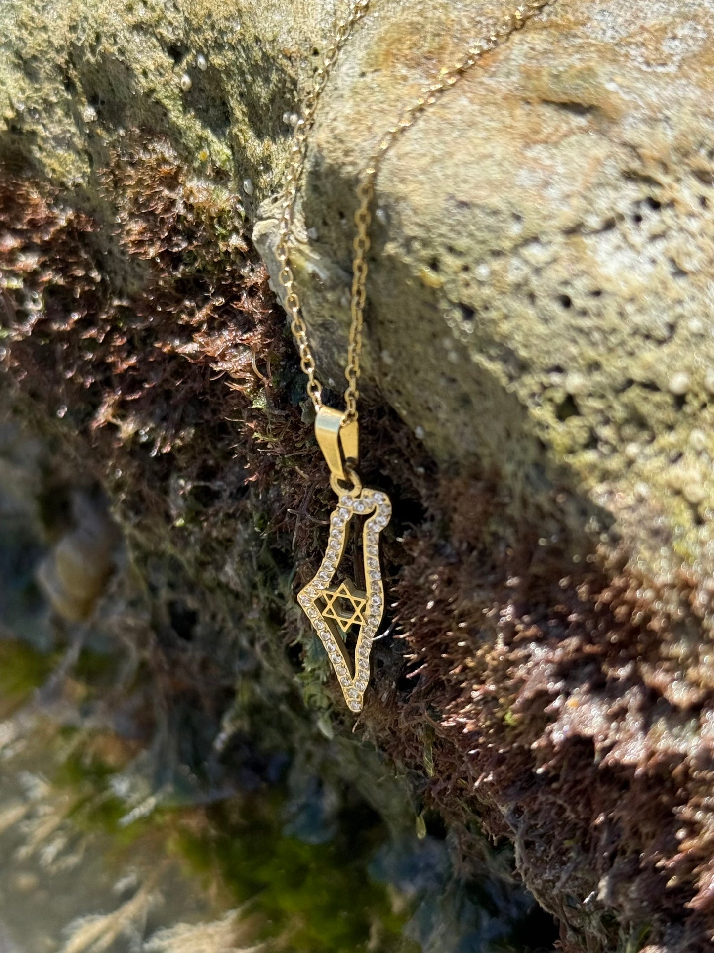 STAR OF DAVID CZ MAP NECKLACE